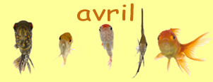 poisson
d'avril!